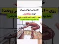 این حرکت برای همه سنین توصیه میشود   قد ورزش   تناسب اندام قد بلند