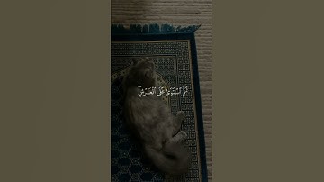 ﴿إِنَّ رَبَّكُمُ اللَّهُ الَّذِي خَلَقَ السَّمَاوَاتِ وَالْأَرْضَ﴾ سورة الاعراف #قرآن #quran