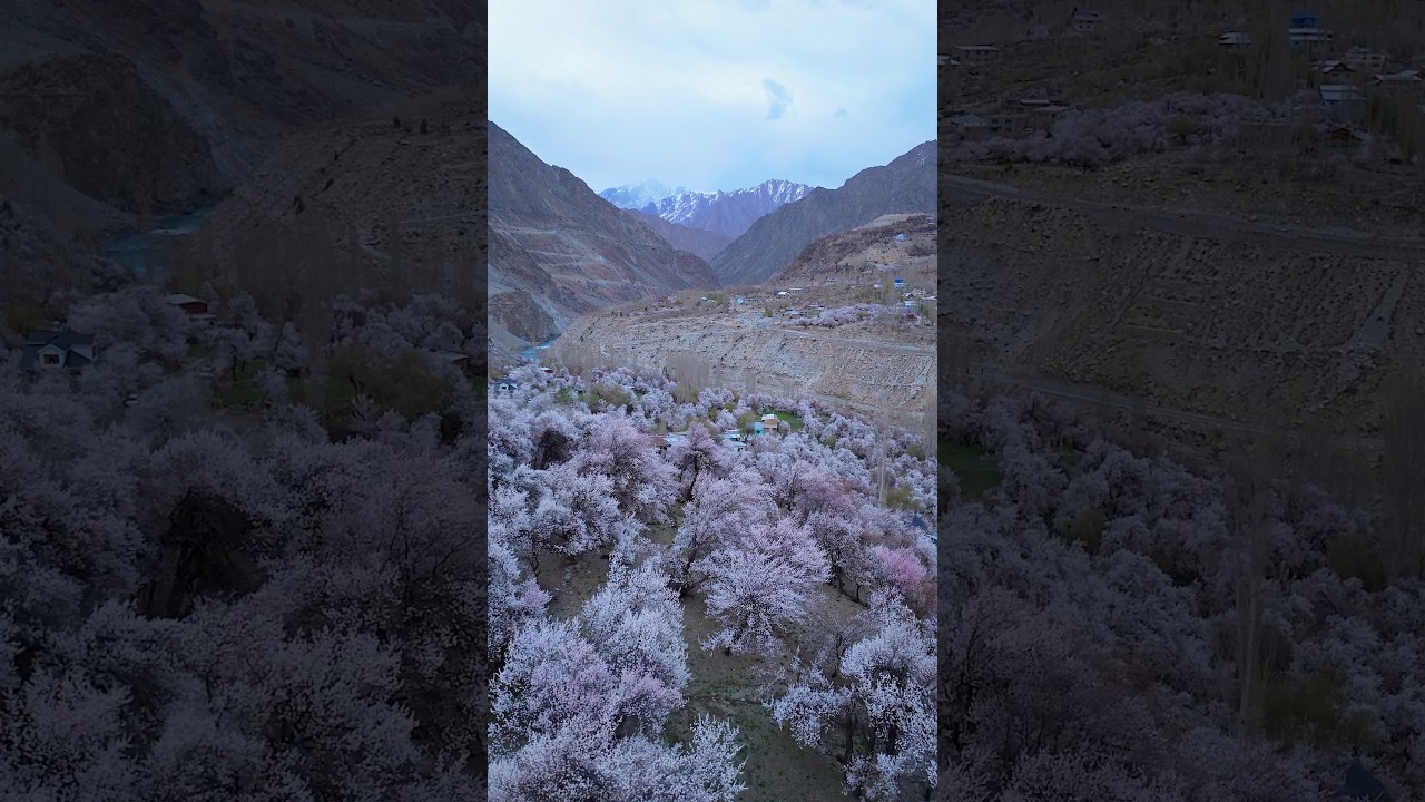 Ladakh