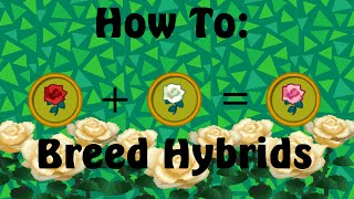 animal crossing new leaf free flowers animal crossing new leaf free flowers