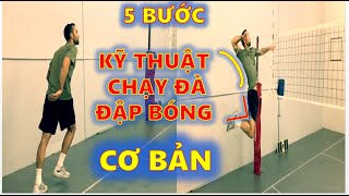 5 Bước Chạy Đà và Đập Bóng Cơ Bản Cho Người Mới Chơi BÓNG CHUYỀN - Móm TV Reaciton