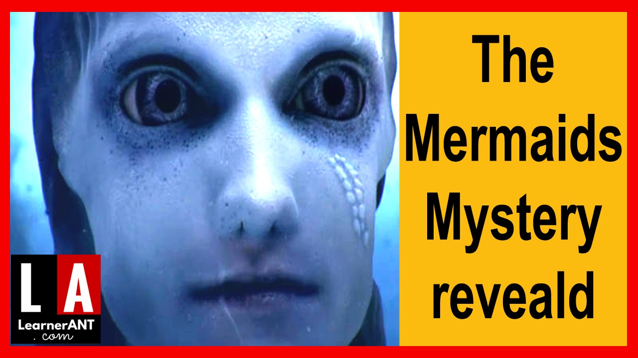 Mystery Mermaid Mystery Mermaid