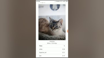 ENORASI Realtime Object Detection on a Mobile Phone using LB-FCN