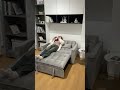 浅グレーが可愛い😊2人掛けソファベッド｜女性でも簡単に切替OK#sofa #sofabed #home #模様替え #interiordesign #shorts