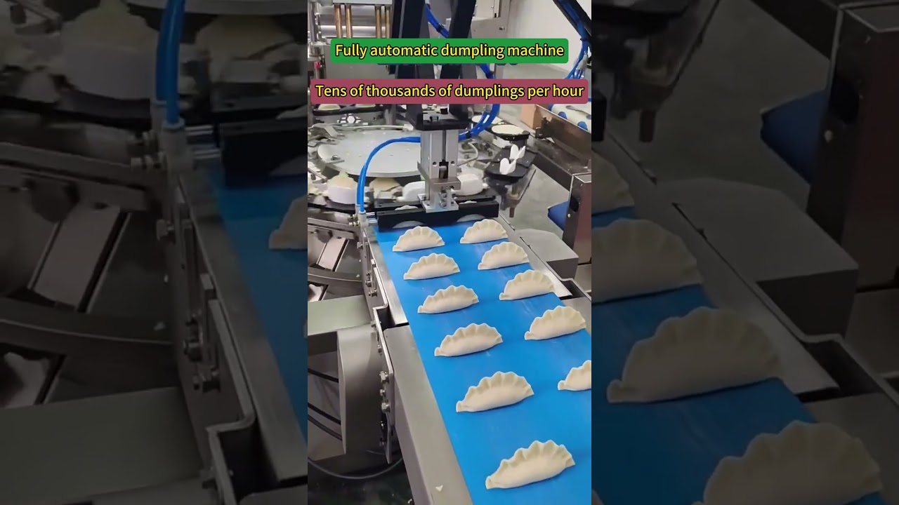 Dumpling packaging machine 