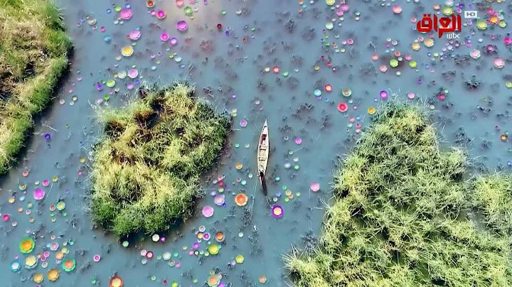 MBC Iraq // Full ID #① (2022)