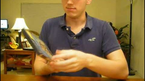 My Huge RPG Collection: That RPG Guy