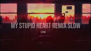 DJ My stupid heart Remix Slow Adem (Lynn)