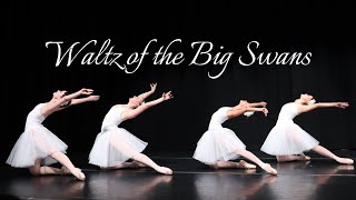 SYMPHONY | Waltz of the Big Swans | Blaise Stone ‘26