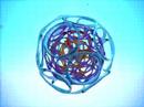 Kenneth Snelson, Atom Self-Constructs