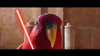Red bird meme  [Star Wars Episode 0,1  The  Red Parrot Menance]