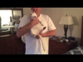 Burmilla cat dancing の動画、YouTube動画。