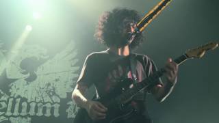 Video thumbnail of "9mm Parabellum Bullet - The Revolutionary (2016.11.05 TOUR 2016 "太陽が欲しいだけ" at 豊洲PIT)"
