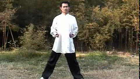 Dr Yuhong Xie  Shaolin Qigong  Waiqi Liaofa - Yijin Jing 2002-10 at Nanjing University of TCM-1.DAT