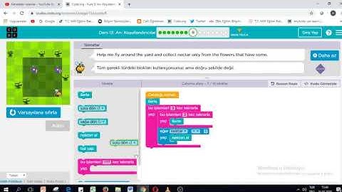 code.org Kurs:2 Ders:13: Arı Koşullandırıcılar