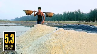 লবণ ক্ষেতের "লবণ" | How to Make Salt in Bangladesh