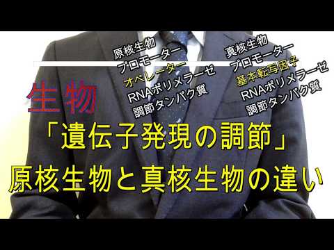 高校生物「遺伝子の発現調節」〜原核生物と真核生物の違い〜