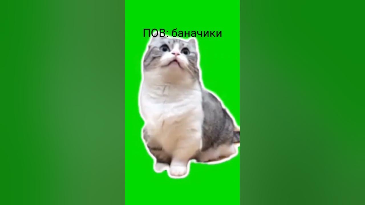 бананчики #мем - YouTube