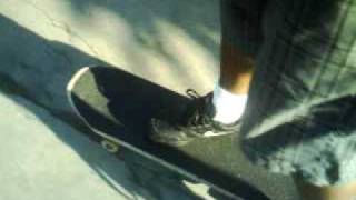 Picture 498.avi