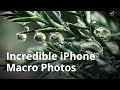 How To Take Incredible Macro Photos With Your iPhone
