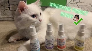 Wonderside Product Review by DamaskCats 311 views 3 years ago 5 minutes, 33 seconds