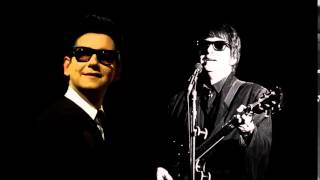 Watch Roy Orbison I Fought The Law video