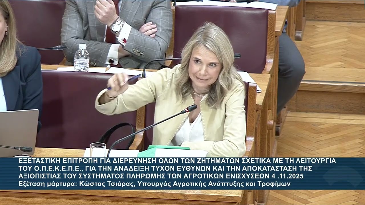 Μιλένα Αποστολάκη στην Εξεταστική Επιτροπή για τον ΟΠΕΚΕΠΕ / 4.11.25