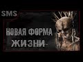 Новая форма жизни. Мистика, фантастика, канал страшилок смс.