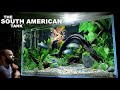 The South America Tank: EPIC Aquascape Tutorial w/ Electric Blue Acara