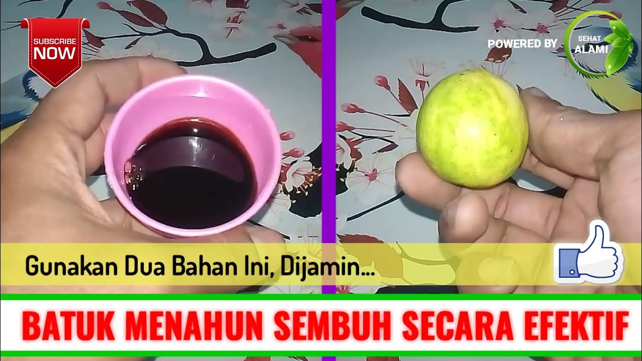 Batuk Berdahak Sembuh, Cara Mengobati Batuk Berdahak ...