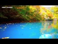 青い四万湖の紅葉カヌー