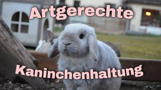 Artgerechte Kaninchenhaltung