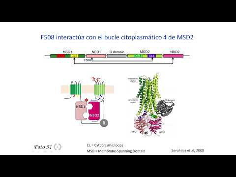 Vídeo: Què és un qüestionari de mutació de frameshift?