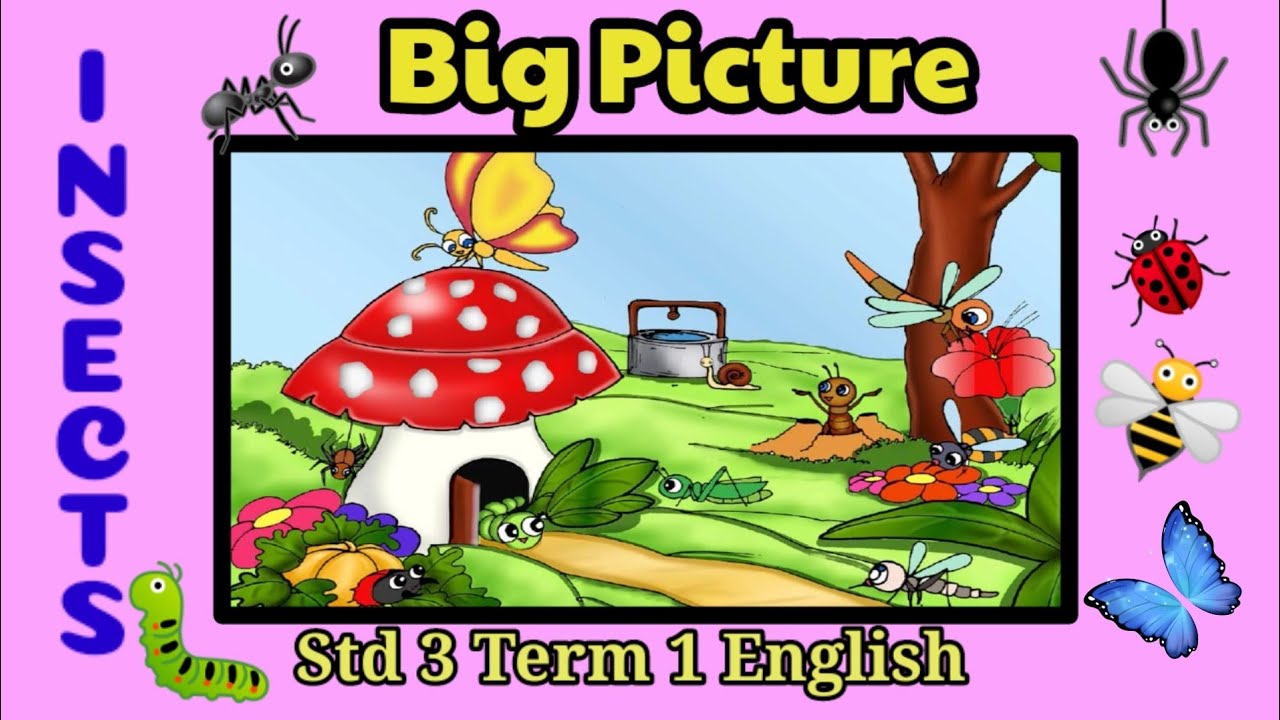 Preposition Insects Big picture/The insects/Std 3 Term 1 English/pg no 103/preposition ...