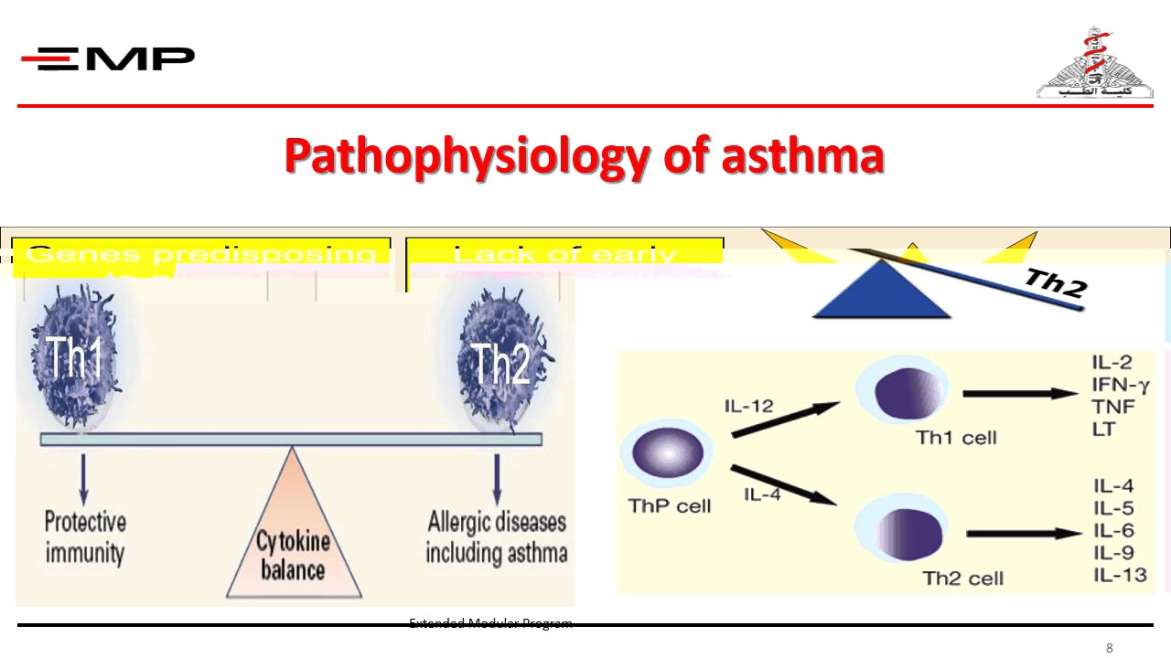 Pediatric bronchial asthma Diagnosis and Management part1 YouTube