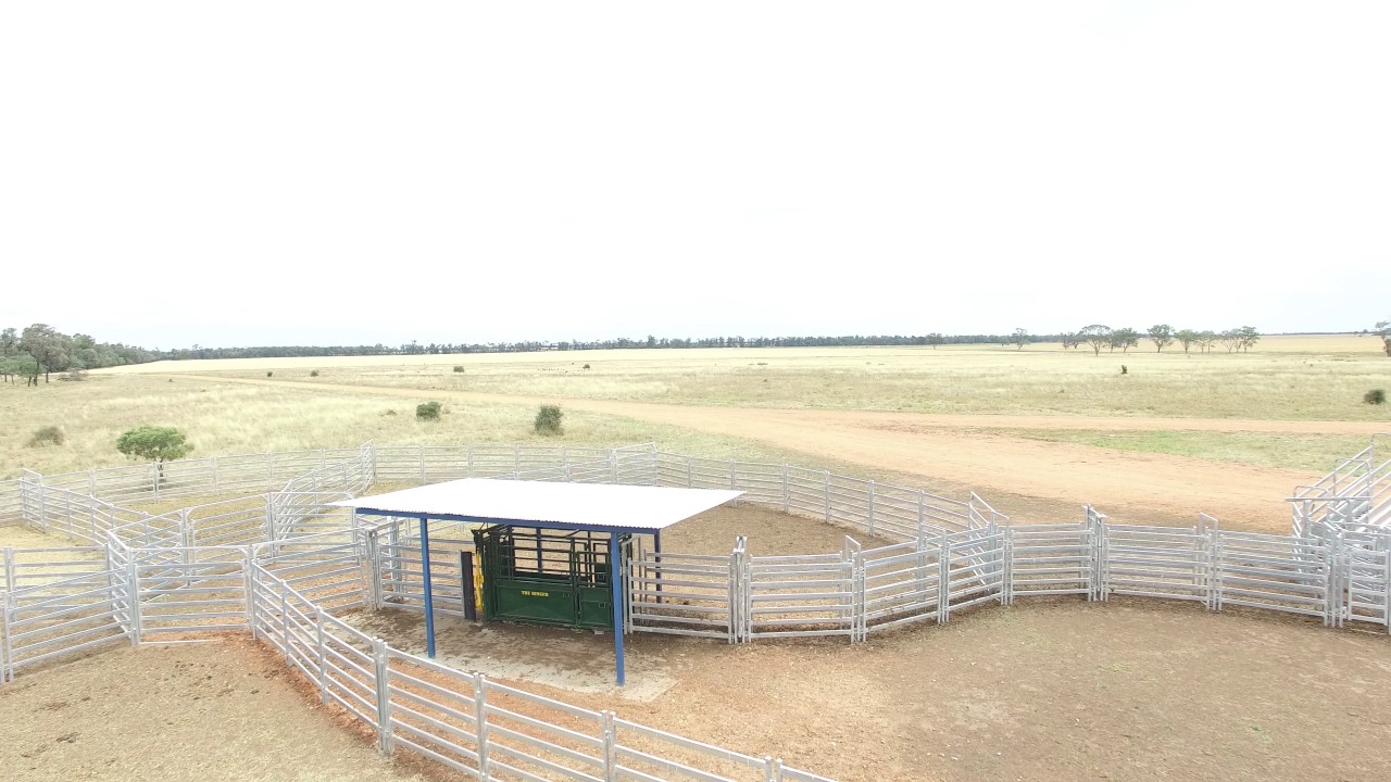 New England Stockyard Company