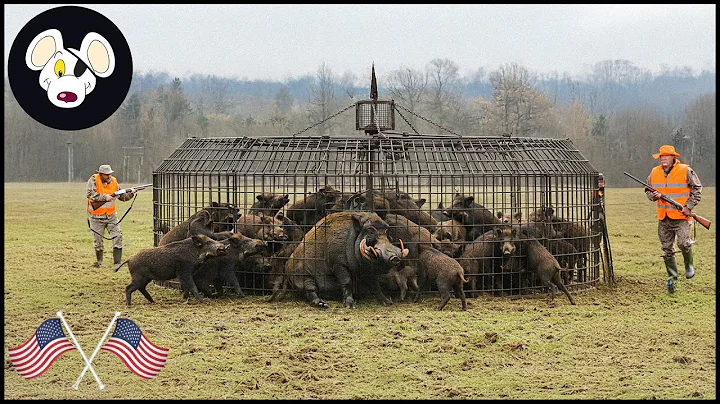 Manitoba's Battle With The Beast: A Documentary Journey Into Wild Boar Hunting