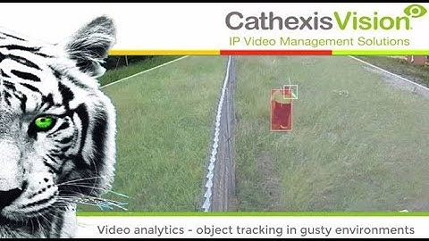 CathexisVision Video analytics   object tracking in Gusty environments