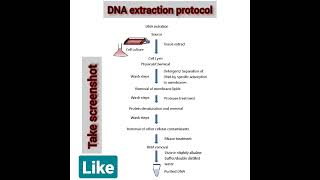 Basic Manual Dna Extraction Method