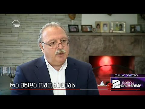 რა უნდა ოპოზიციას