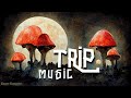 Under The Moonlight And Magic Mushroom Effects | Trip Electro Dub Chill Playlist
