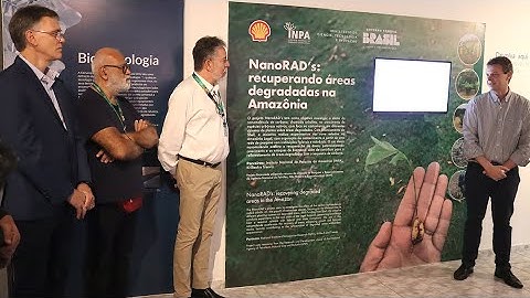 Visita Shell Nanorads