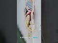 How DNA Was Pulled From a River Rock After 18 Years | Forensic Briefing
