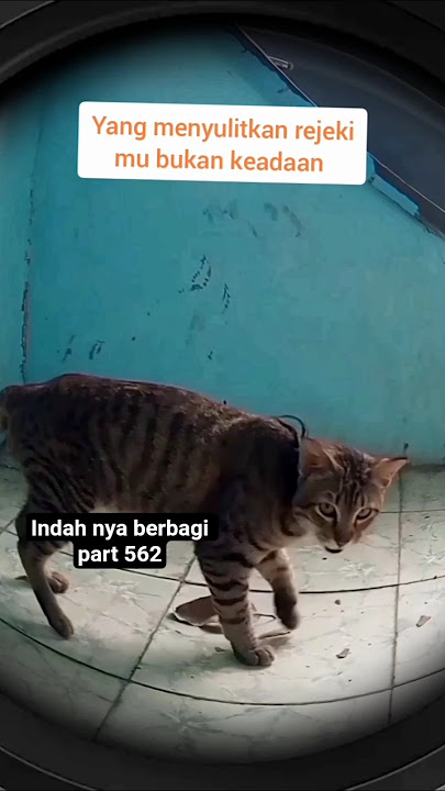 indah nya berbagi part 562@SangMusafirberbagi
