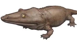 Mastodonsaurus Largest Amphibian