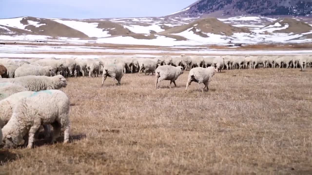 REO program helps ag workers reach education and work goals