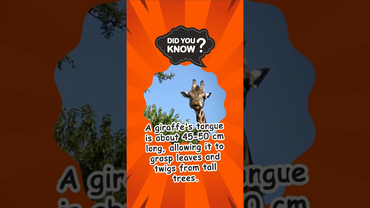 Animal Knowledge #9: Strange and Wonderful Animal Trivia!