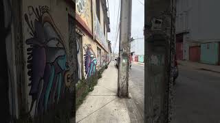 Calle Nueva Las Rosas, Valparaíso - Chile. #nuevalasrosas #valparaiso #cerroellitre #ellitre #cerro