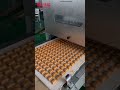 Caramel Toffee Fudge Forming Making Machine #machine #candy #caramel
