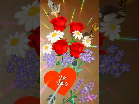 هلا وغلا بكل الاصدقاء الغاليين يوتيوب هلاوغلا هلا 